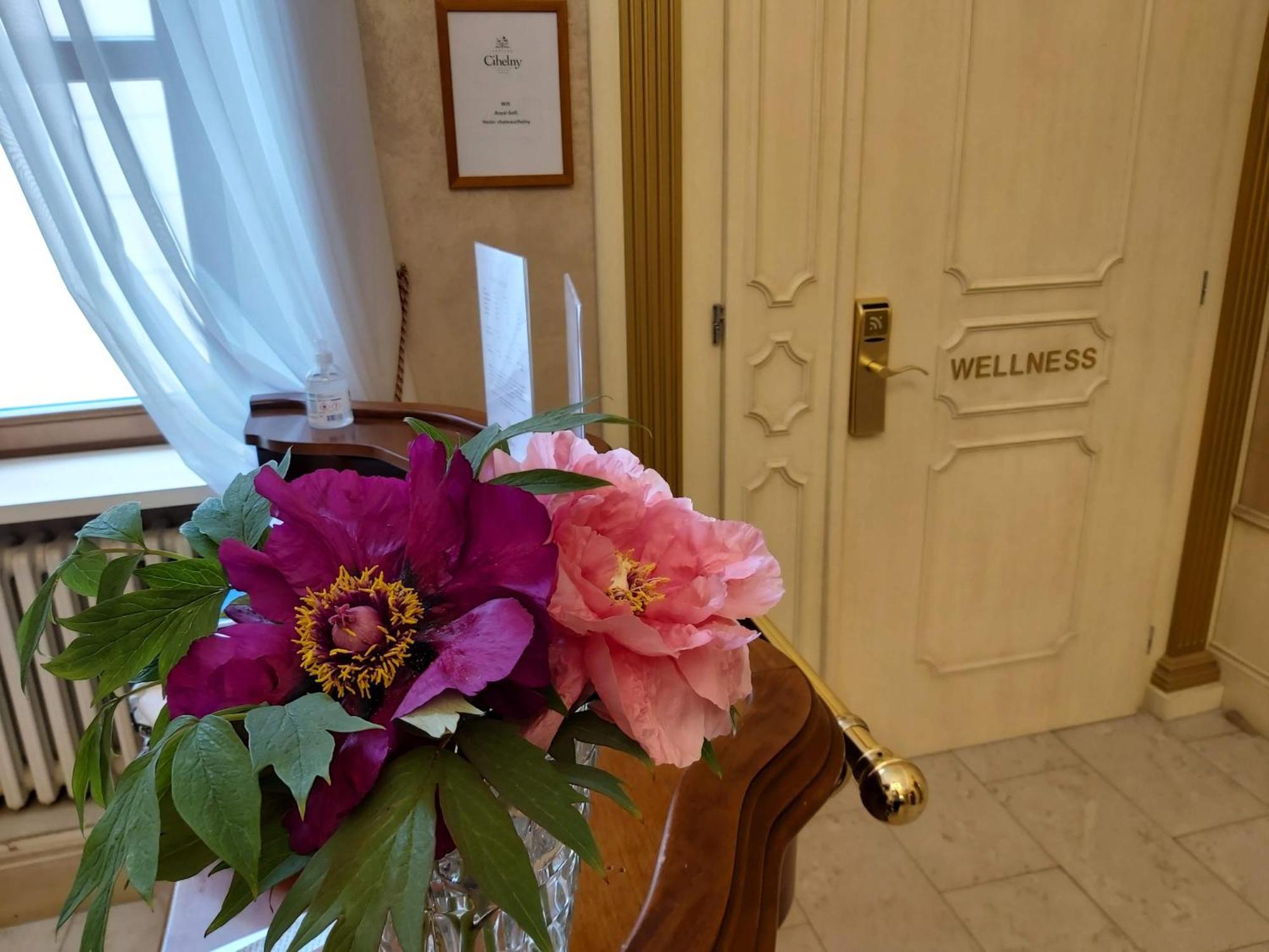 Pension U Golfu Cihelny カルロヴィ・ヴァリ エクステリア 写真